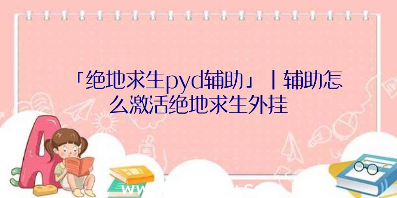 「绝地求生pyd辅助」|辅助怎么激活绝地求生外挂